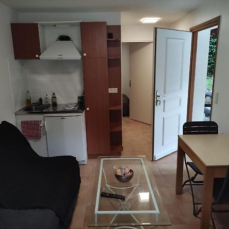 Deux Pieces Avec Grande Terrasse Au Calme Apartment Saint-Martin-Vesubie Luaran gambar