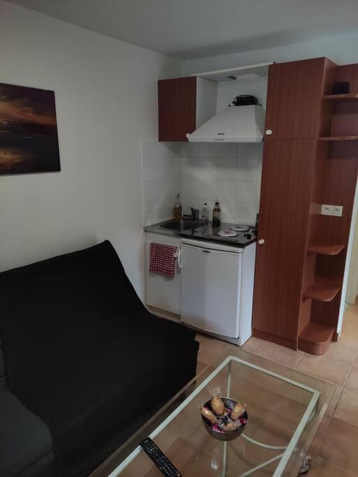 Deux Pieces Avec Grande Terrasse Au Calme Apartment Saint-Martin-Vesubie Luaran gambar