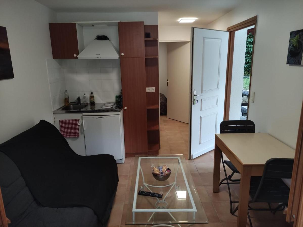 Deux Pieces Avec Grande Terrasse Au Calme Apartment Saint-Martin-Vesubie Luaran gambar
